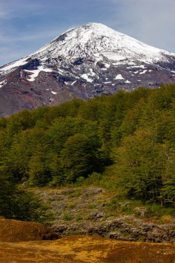 Şili 'deki Villarica volkanı yakınlarındaki manzara