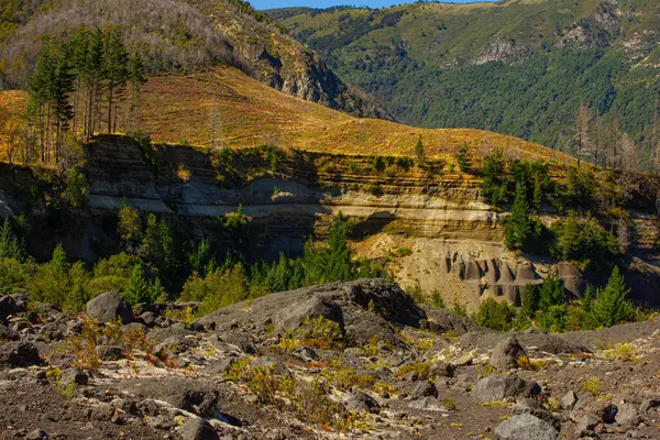 Şili 'deki Llaima volkanı (Conguillio Ulusal Parkı) yakınlarındaki volkanik manzara