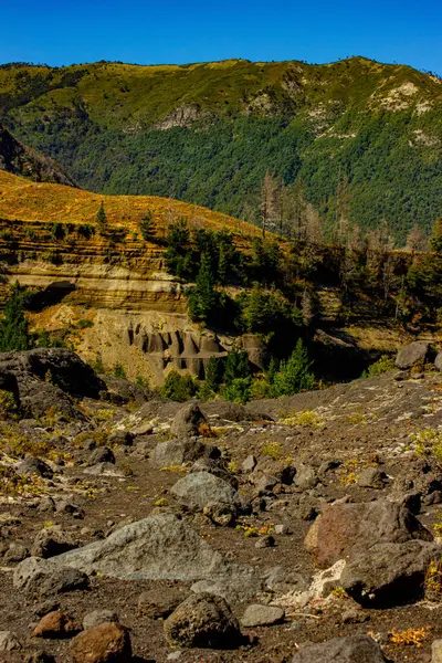 Şili 'deki Llaima volkanı (Conguillio Ulusal Parkı) yakınlarındaki volkanik manzara