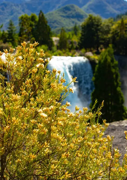 Şelalenin Şili 'deki Truful-Truful (Conguillio Ulusal Parkı) manzarası