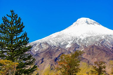 Şili 'deki ünlü volkan Lanin.