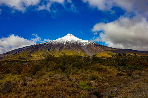 Şili 'deki ünlü volkan Lanin.