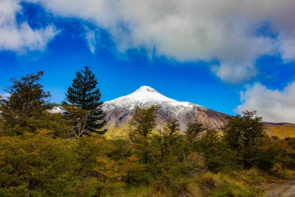 Şili 'deki ünlü volkan Lanin.