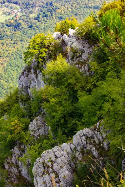 Saraybosna ve Bosna-Hersek yakınlarındaki ormanlarda kayalar var