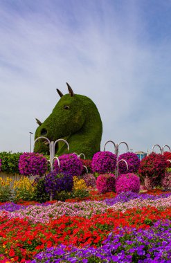 Dubai, BAE 'deki Mucize Bahçesi' nde çiçek heykelleri.