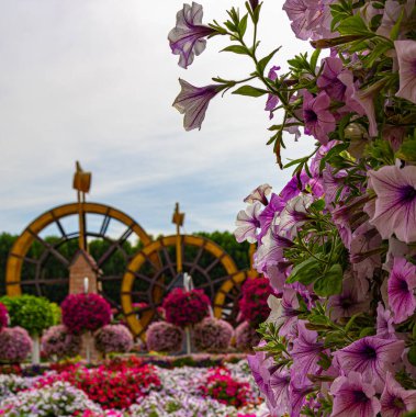 Dubai, BAE 'deki Mucize Bahçesi' nde çiçek heykelleri.