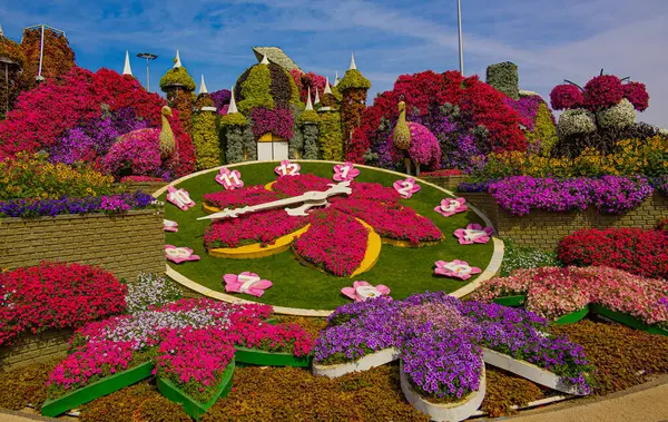 Dubai, BAE 'deki Mucize Bahçesi' ndeki büyük çiçek saati.