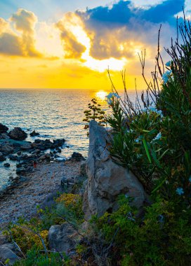 Akdeniz kıyısında çiçek ve ağaçlarla dramatik bir gün batımı yaşandı