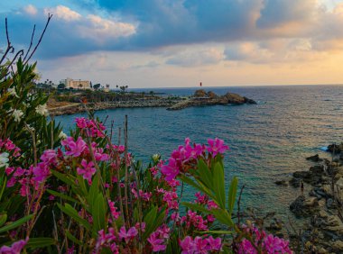 Kıbrıs Rum Kesimi 'nin çiçek çerçevesi üzerinden Akdeniz yakınlarındaki villalara bak