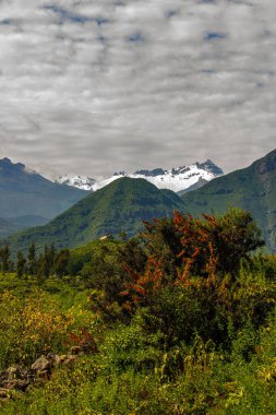 And Dağları 'ndaki Colca Kanyonu, Peru