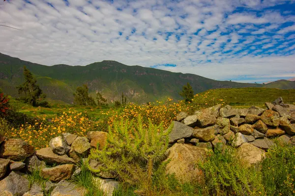 And Dağları 'ndaki Colca Kanyonu, Peru