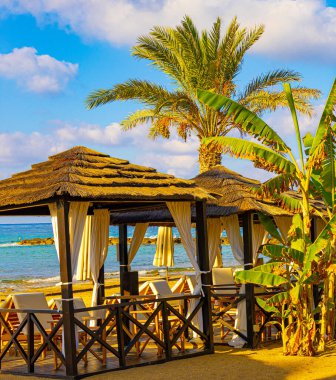 Kıbrıs Rum Kesimi Akdeniz yakınlarındaki palmiye ağacı ve muz ağacının altında güneşli bir pavyon 