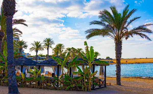 Kıbrıs Rum Kesimi Akdeniz yakınlarındaki palmiye ağacı ve muz ağacının altında güneşli bir pavyon 