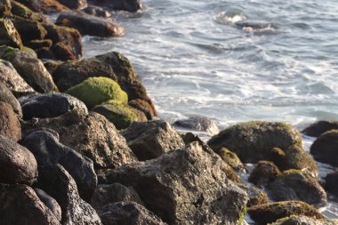 Meksika Denizi kıyısında taşlar 