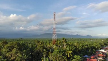 telephone signal transmitter tower pole for communication
