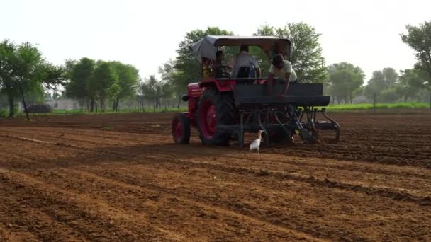 Novembro 2022 Reengus Índia Agricultor Indiano Com Trator Preparando Terra — Vídeo de Stock