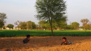 Buğday tarlasında koşan büyük bir grup çocuk. Yaz boyunca yeşil alanda koşan çocuklar