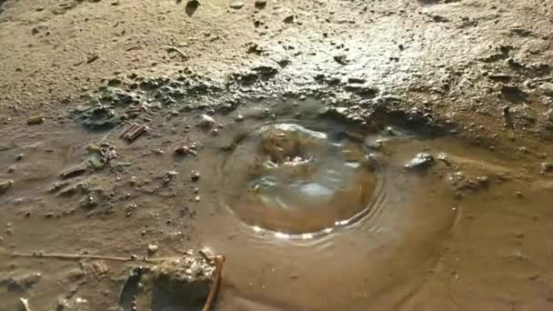 Goccia Acqua Sul Pavimento Cemento Sporco Goccia Pioggia Sulla Passerella — Video Stock