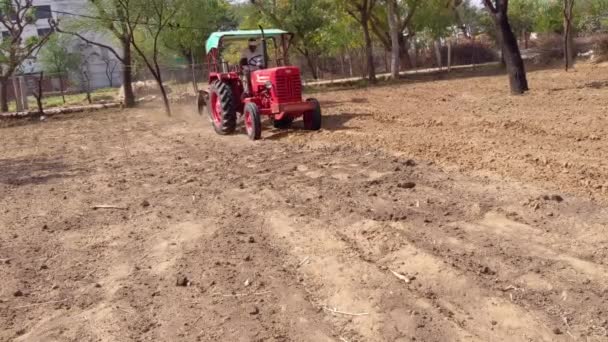Diciembre 2022 Rajastán India Agricultor Indio Tractor Preparando Tierras Con — Vídeos de Stock