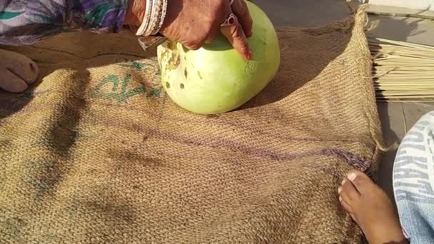 Loofah Verde Ghiya Vengono Tagliati Con Coltello Cucina Indiano Villaggio — Video Stock