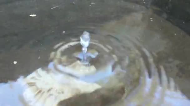 Macro Uma Gota Água Ondulações Ondas Água Uma Gota Água — Vídeo de Stock