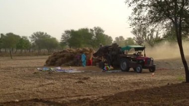 21 Aralık 2022 Reengus, Rajasthan, Hindistan. Traktör sahada harman makinesiyle çalışıyor. Hasır kabuğu tahıldan ayıran çiftçiler.