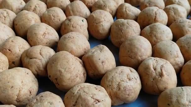 Litti Chokha Ετοιμάζεται Σιδερένια Σχάρα Παραδοσιακό Μπάρμπεκιου Διάσημο Φαγητό Από — Αρχείο Βίντεο