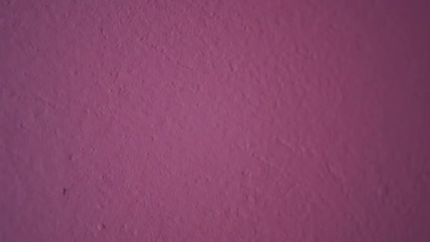 Πλήρης Κορνίζα Του Ροζ Τοίχου Τσιμέντο Τοίχου Υφή Από Ροζ — Αρχείο Βίντεο