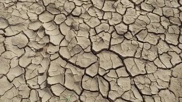 Dry Cracked Earth Parched Land Earth Dirt Texture Background Brown — Stock Video