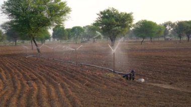 A field irrigation sprinkler system waters rows of lettuce crops on farmland in the Indian countryside.