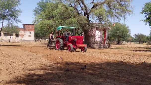 2023 Január Jaipur Rajasthan India Talaj Megpuhítása Felkészülés Sorok Kivágására — Stock videók