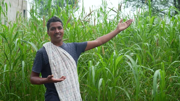 Young Indian Farmer Standing Green Millet Sorghum Agriculture Field — Foto de Stock
