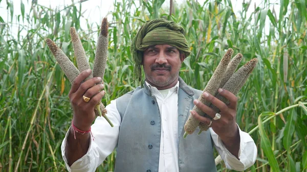 Young indian farmer in traditional wear and holding sorghum buds in hand at millet field