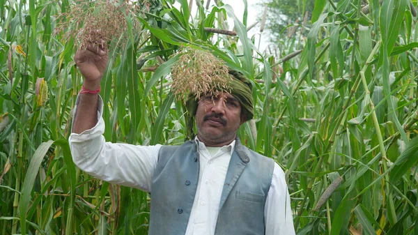 Jovem Agricultor Indiano Campo Cultivo Milho Verde Sorgo — Fotografia de Stock