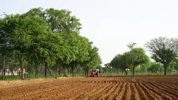 农民用拖拉机播种 在田里播种 播种是在地里播种的过程 是早春农业活动的一部分 — 图库照片