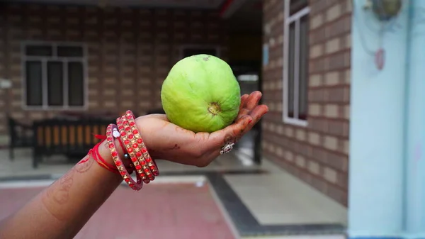Θηλυκό Εκμετάλλευση Fresh Guava Φρούτα Του Ανοιχτού Πράσινου Χρώματος Και — Φωτογραφία Αρχείου