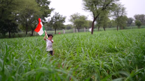Индийский Ребенок Держит Машет Работает Триколором Возле Зелени Заднем Плане — стоковое видео