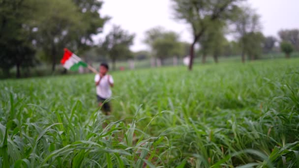 Indian Village Barn Körs Glatt Ett Grönt Fält Håller Flaggan — Stockvideo
