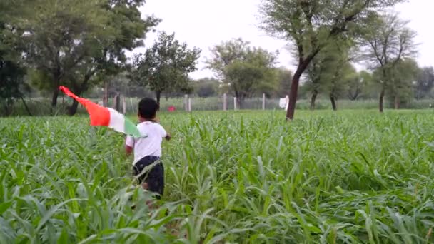 8月15日印度独立日快乐 可爱的男孩拿着印度国旗在绿色背景下奔跑 — 图库视频影像
