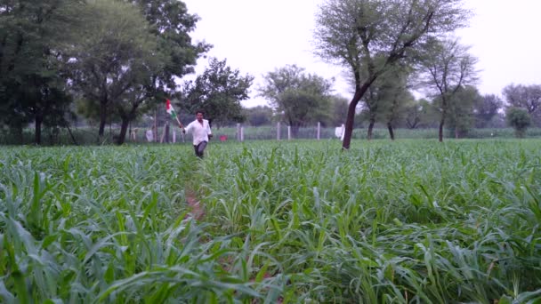 Young Indian Farmer Waving Indian Flag Agriculture Field — Stock Video