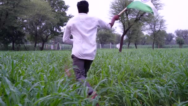 独立日快乐8月15日印度独立日快乐 年轻农民背着印度国旗在绿色背景下奔跑 — 图库视频影像
