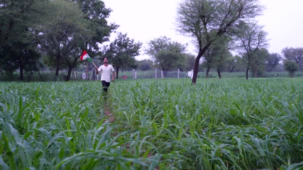 Młody Indyjski Rolnik Machający Indyjską Flagą Polu Rolnictwa — Wideo stockowe