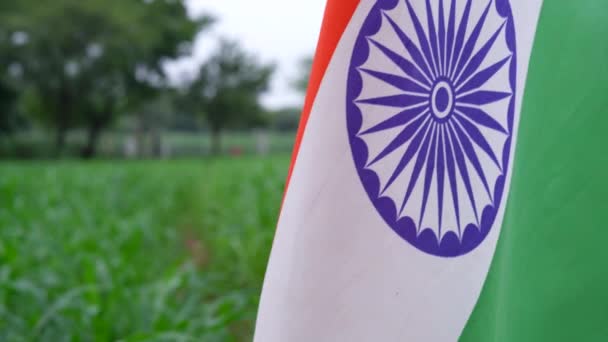 印度村庄的孩子们拿着 挥挥手 或背着三色旗跑步 背景是绿树 庆祝独立日或国庆日 — 图库视频影像