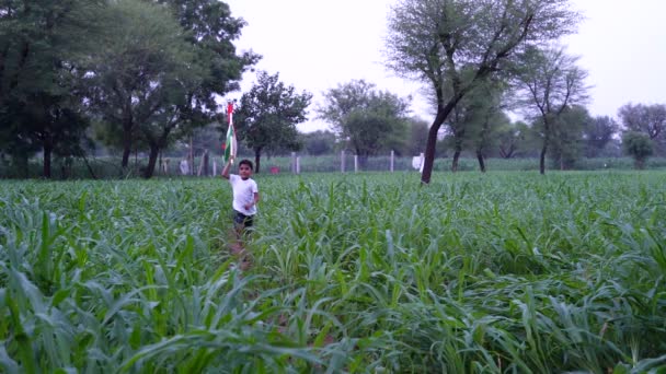 Crianças Indianas Segurando Acenando Correndo Com Tricolor Com Vegetação Fundo — Vídeo de Stock
