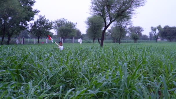 インドの村の子供たちは バックグラウンドで緑とトリコロールを保持 振ったり走ったり 独立または共和国の日を祝います — ストック動画