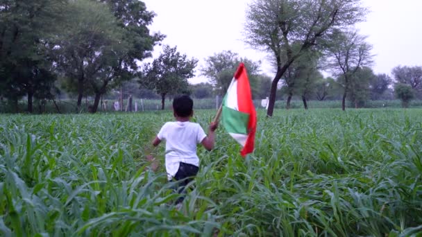 独立日快乐8月15日印度独立日快乐 小男孩背着印度国旗在绿色背景下奔跑 — 图库视频影像