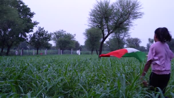 独立日快乐8月15日印度独立日快乐 小女孩背着印度国旗在绿色背景下奔跑 — 图库视频影像