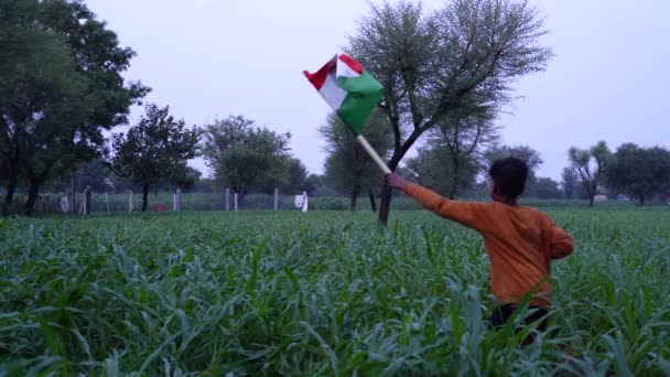 Днем Независимости Августа Днем Независимости Индии Мальчик Бежит Индийским Флагом — стоковое видео