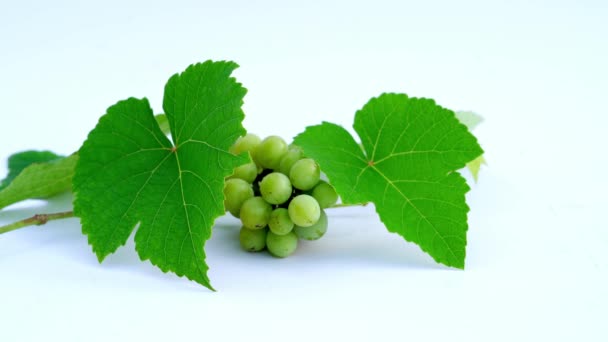 Bunch Grapes White Background Grape Fruit Botanically Berry Deciduous Woody — Stock Video