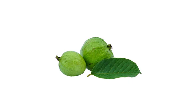 Biologische Heerlijke Guava Fruit Met Verse Groene Bladeren Geïsoleerd Witte — Stockfoto